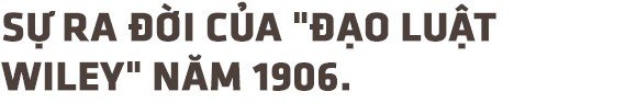 Hơn 100 năm trước, người Mỹ giải quyết vấn nạn thực phẩm bẩn, giả và ngâm hóa chất thế nào?