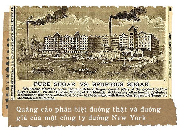 Hơn 100 năm trước, người Mỹ giải quyết vấn nạn thực phẩm bẩn, giả và ngâm hóa chất thế nào?