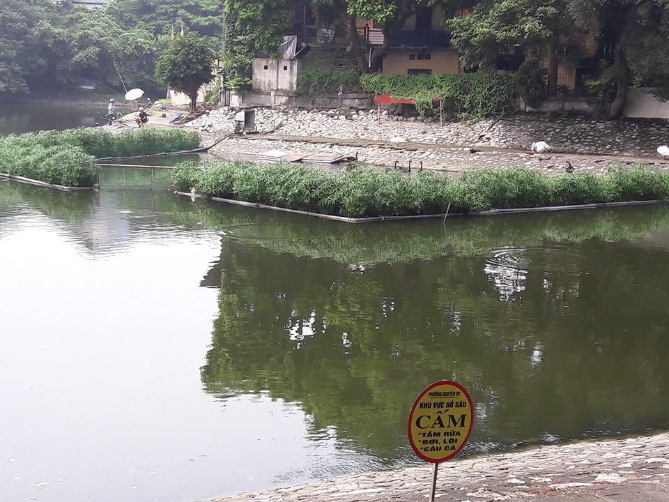 12-con-thien-nga-tha-hut-o-ho-guom-bay-gio-ra-sao