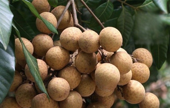 tieu-dung-tuan-qua-gia-vang-giam-rau-xanh-tang-gia