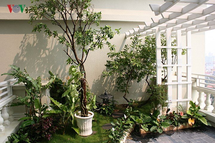 Căn hộ tầng 7 tận dụng khoảng không làm vườn treo