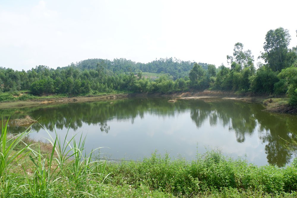 ha-noi-nguoi-dan-keu-troi-vi-hang-tan-ca-chet-noi-trang-mat-ao
