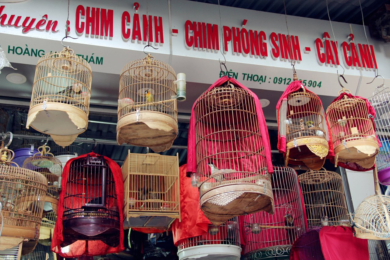 anh 2_meitu_2