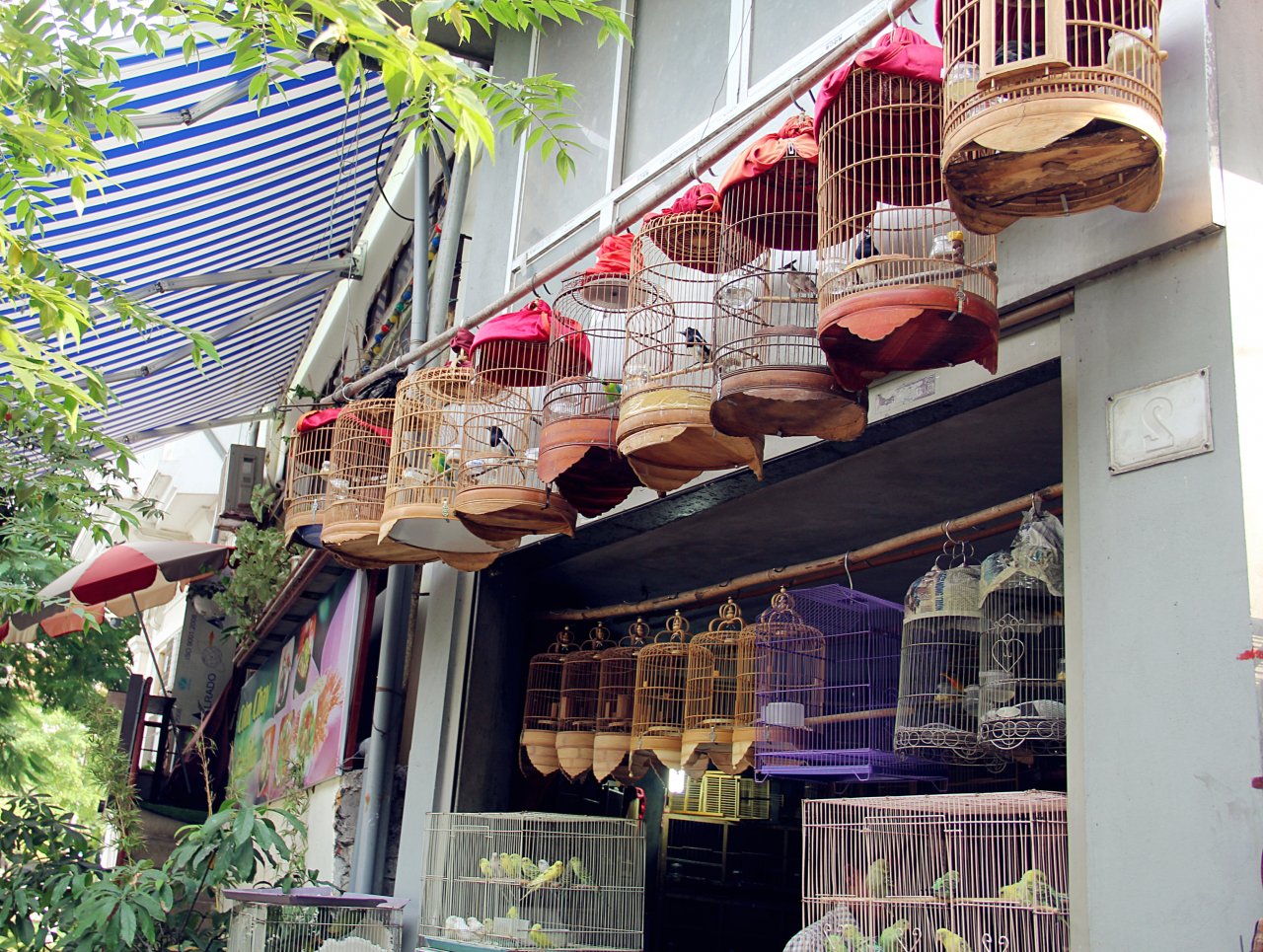 anh 5_meitu_5