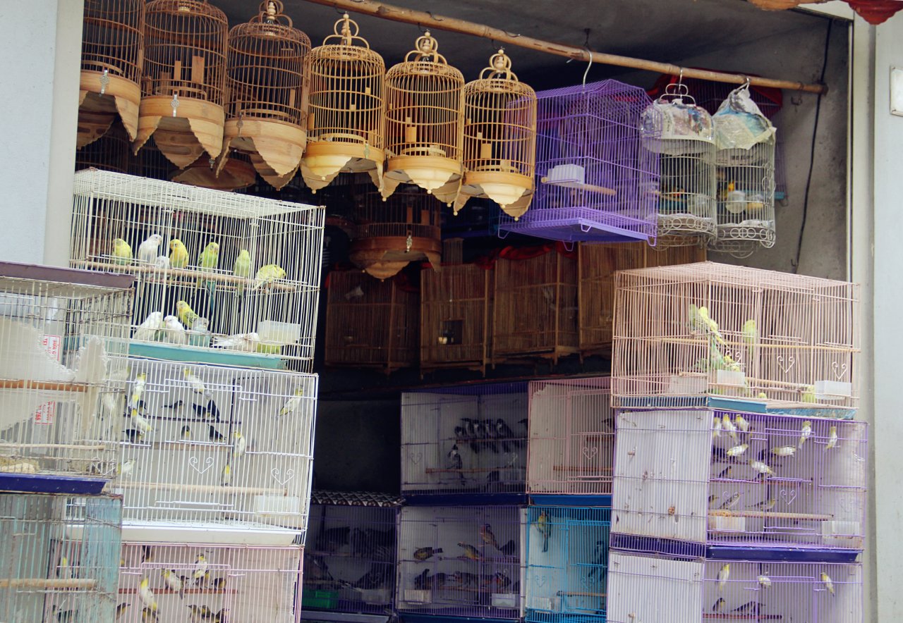 anh 7_meitu_7