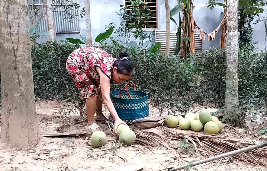 ngam-dac-san-thanh-tra-ngon-nuc-tieng-o-xu-hue