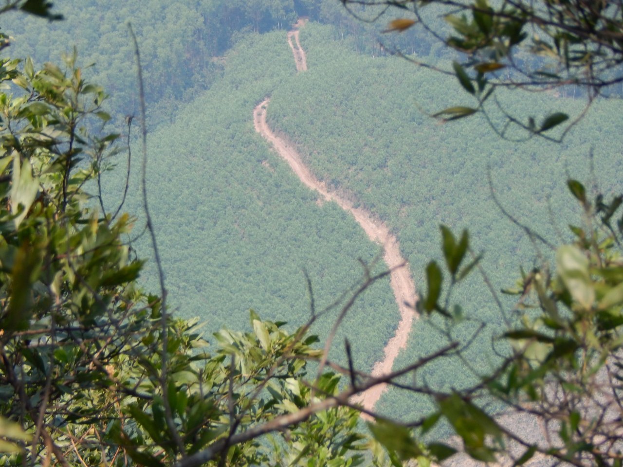 bang-rung-kham-pha-hon-vuon