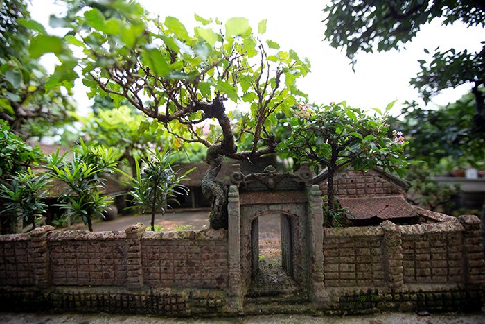 ha-noi-ky-thu-voi-nhung-ngoi-nha-co-bac-bo-duoc-lam-thu-cong-voi-kich-thuoc-sieu-nho