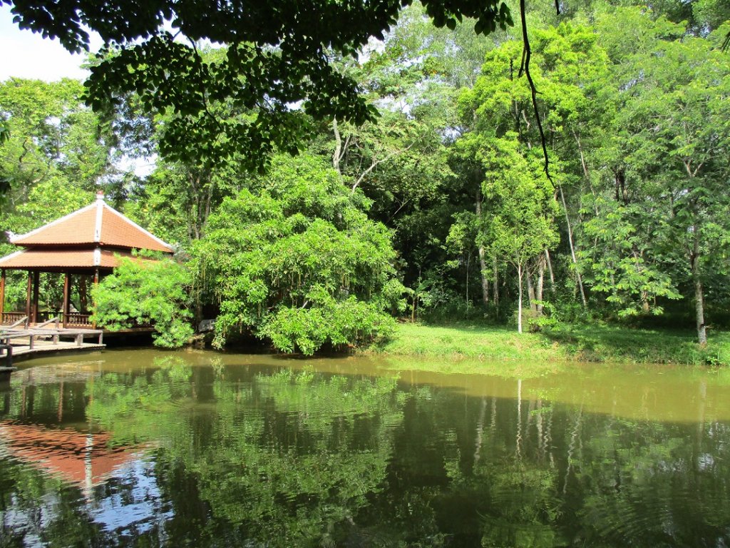 di-tim-su-binh-yen-o-ngoi-chua-noi-tieng-xu-hue