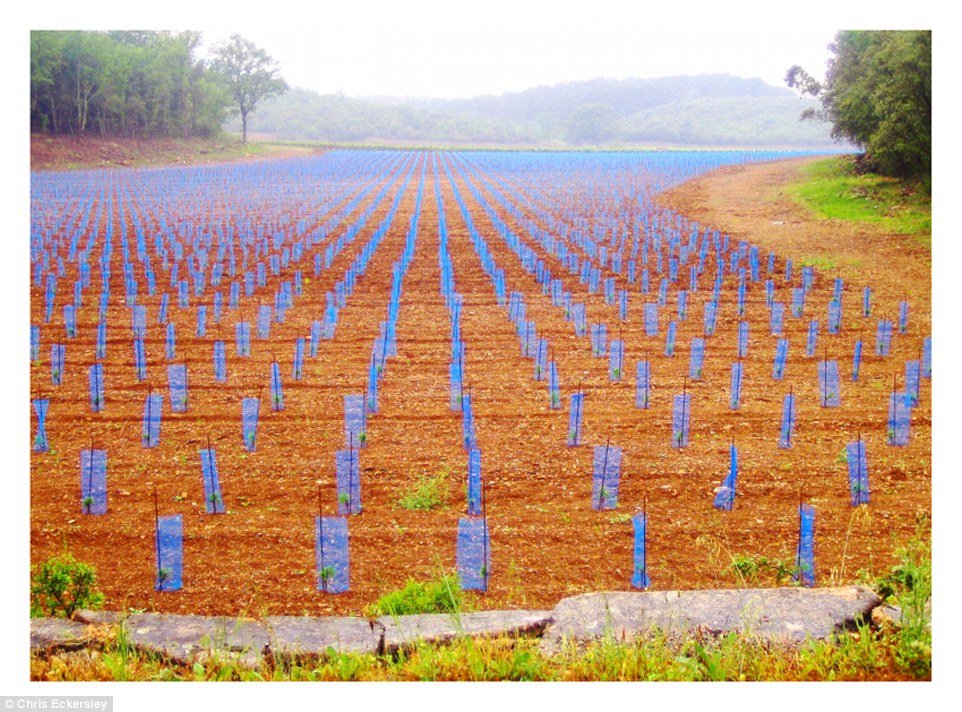 cuoc-thi-anh-trai-dat-ruong-bac-thang-cua-viet-nam-lot-top-nhung-anh-an-tuong-nhat