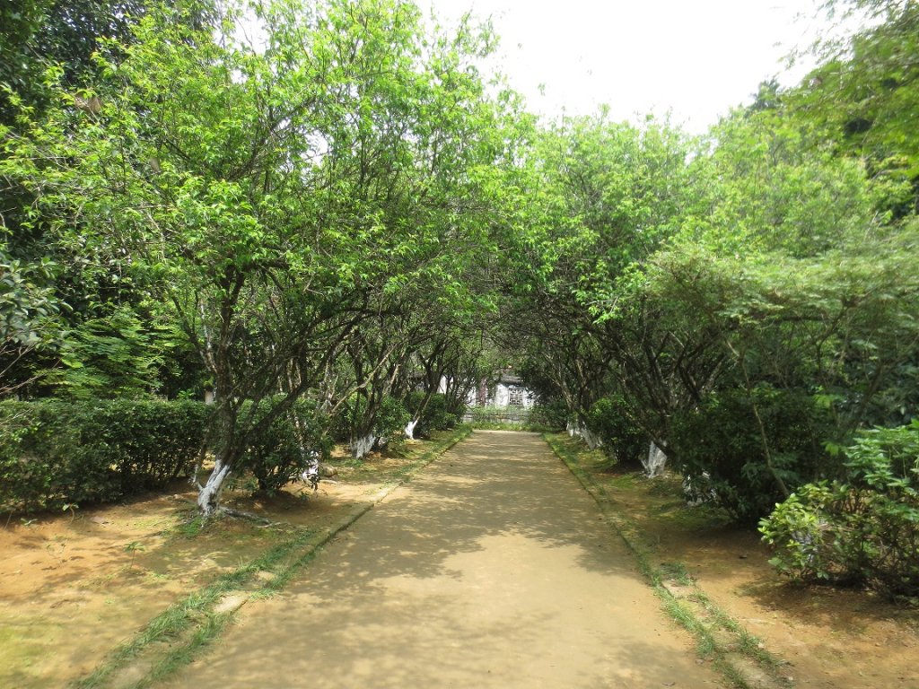 den-co-do-hue-ngay-29-nen-di-nhung-dau