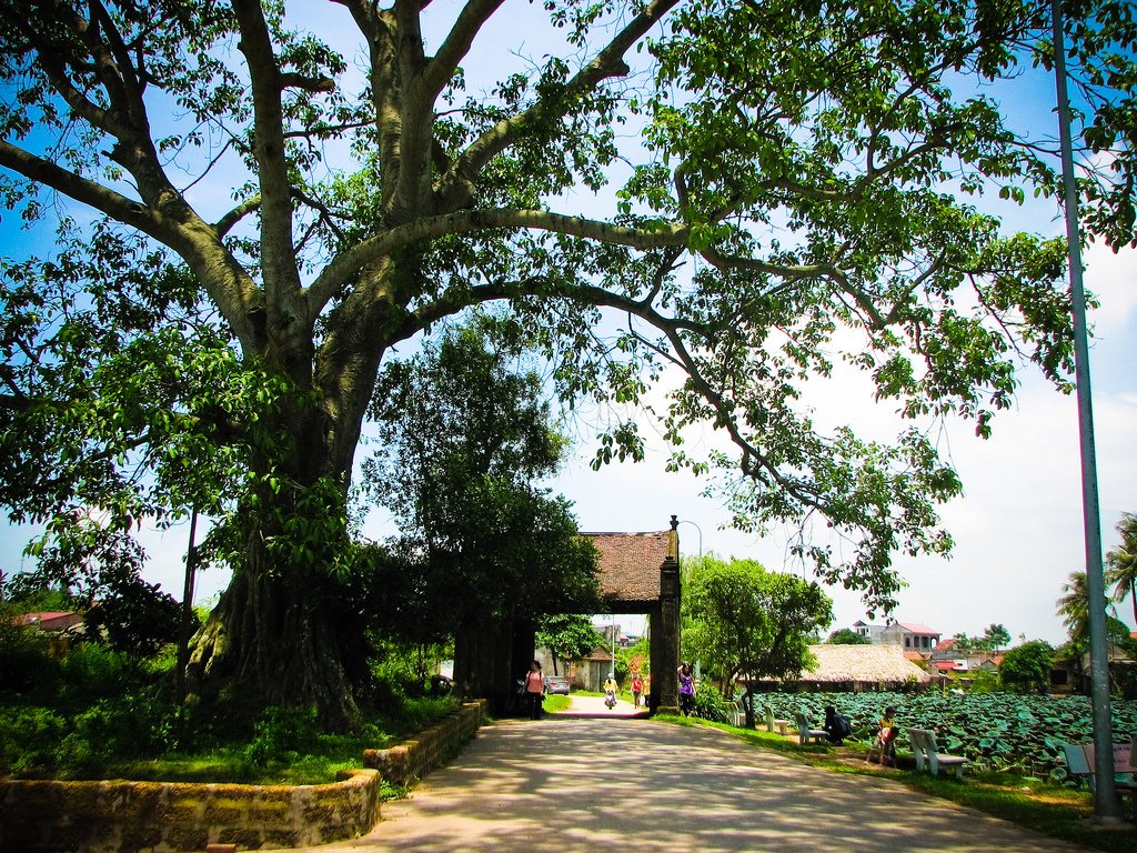 nghi-le-29-nen-di-dau-o-ha-noi