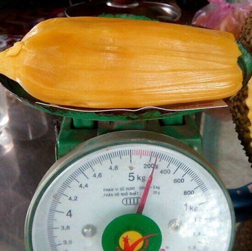Tròn mắt những 'siêu phẩm' mít đệ nhất khủng trên đất Việt