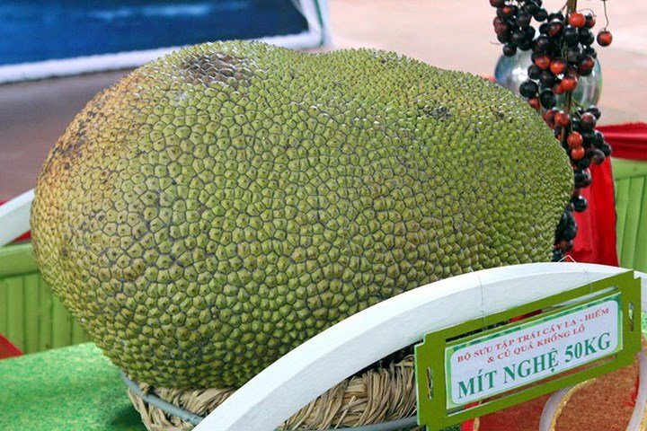 Tròn mắt những 'siêu phẩm' mít đệ nhất khủng trên đất Việt