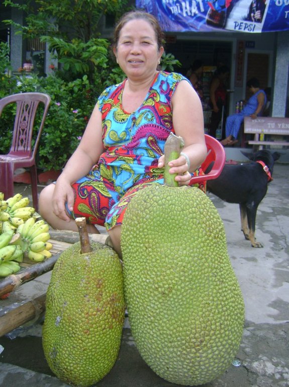 Tròn mắt những 'siêu phẩm' mít đệ nhất khủng trên đất Việt