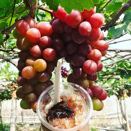 Gọi tên những món ngon miền Trung ăn một lần nhớ mãi