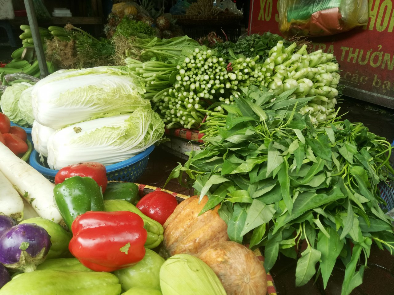 gia-rau-ha-noi-cai-xanh-35000-dongkg-nhieu-ba-noi-tro-hot-hoang