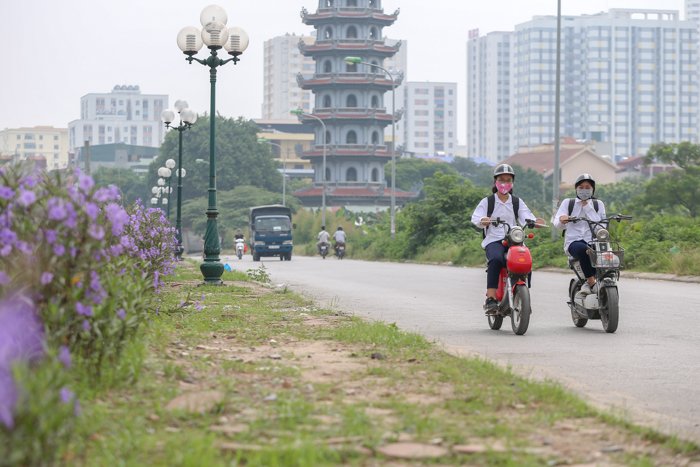 ha-noi-con-duong-hoa-tim-dep-den-bat-ngo