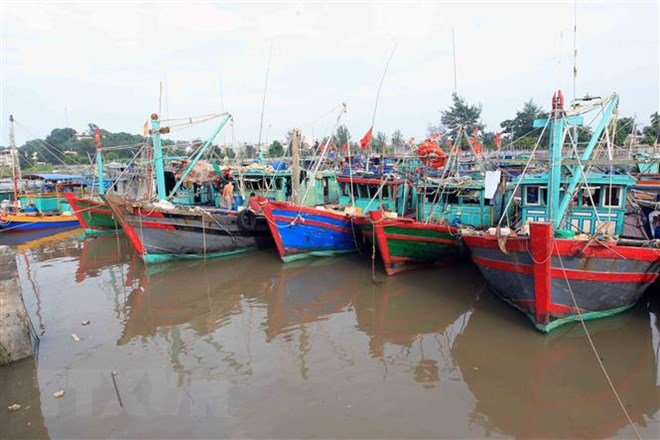 bao-so-5-song-bien-cao-2m-gio-giat-cap-7