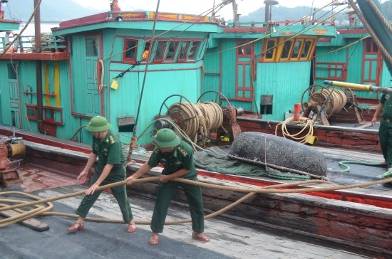 bao-so-5-song-bien-cao-2m-gio-giat-cap-7