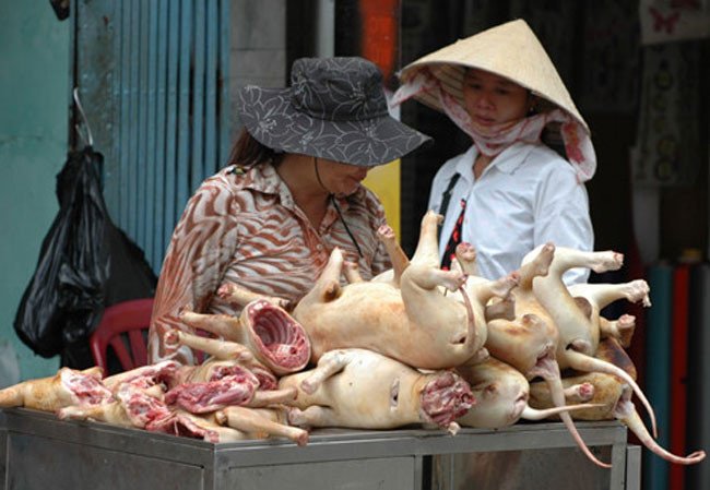 nguoi-dan-ha-noi-dua-ra-y-kien-ve-viec-tu-bo-an-thit-cho-ung-ho-tu-bo-cam-an-thi-kho