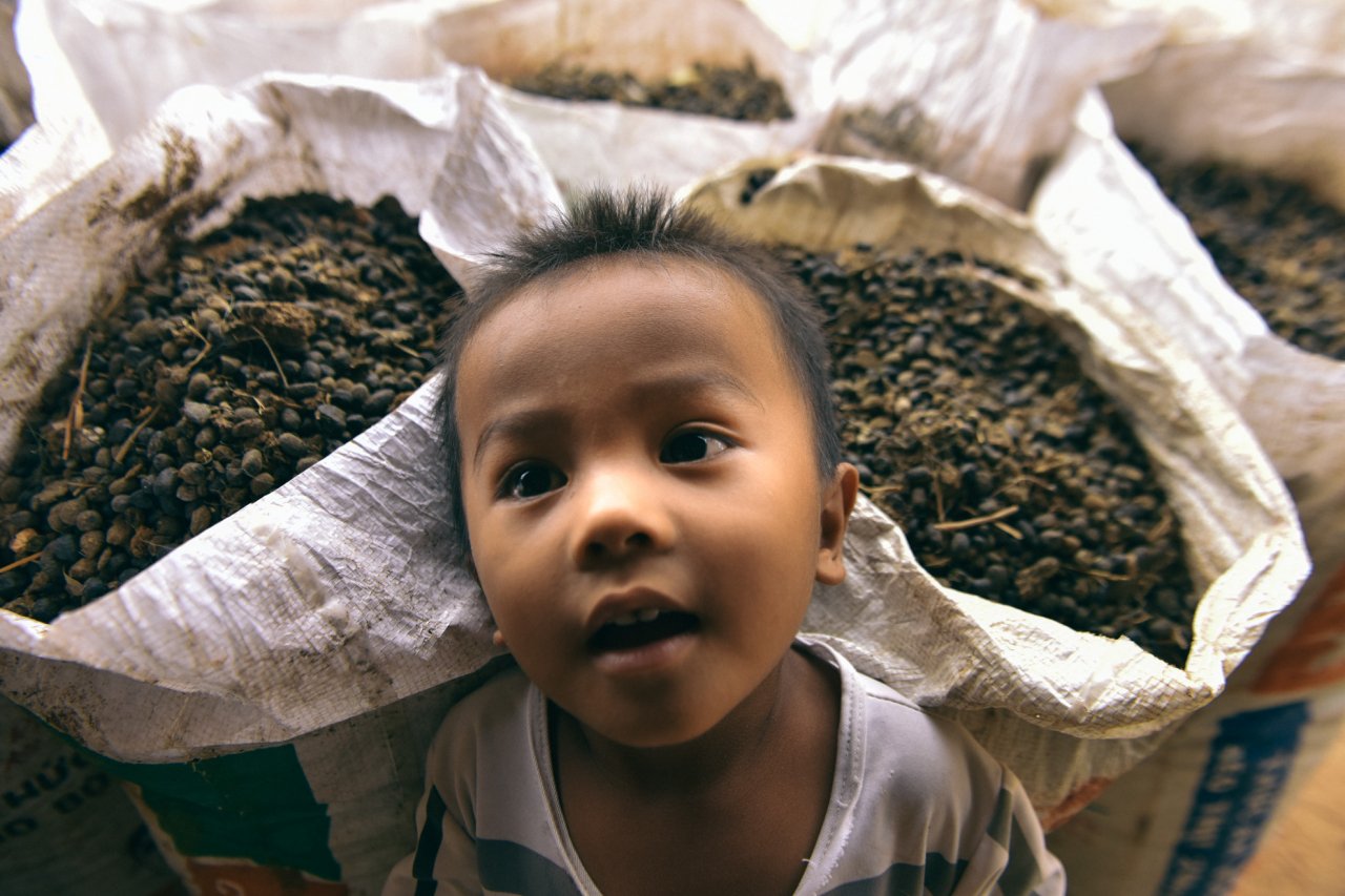 Cậu bé ở xứ sở chăn cừu nắng gió độc nhất miền Trung