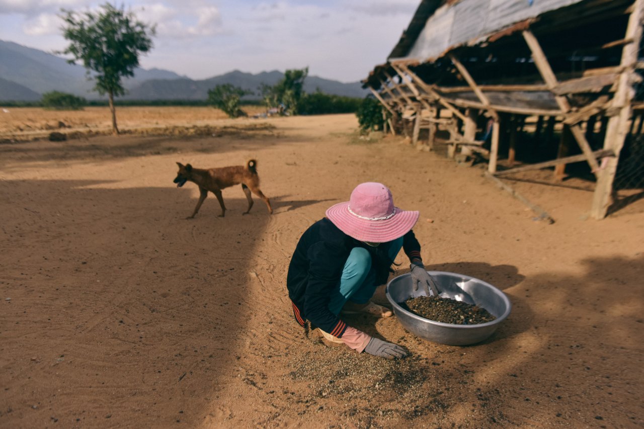 Cậu bé ở xứ sở chăn cừu nắng gió độc nhất miền Trung