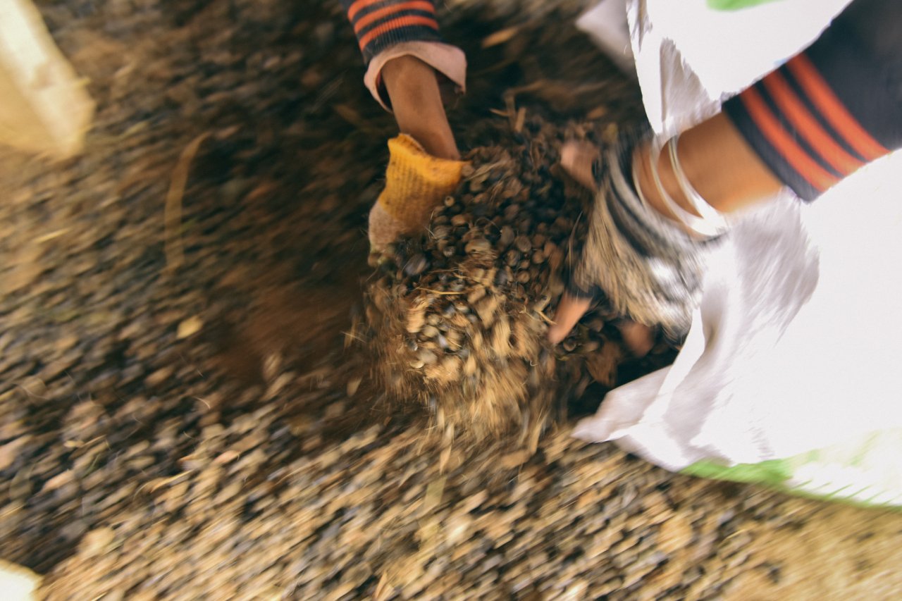 Cậu bé ở xứ sở chăn cừu nắng gió độc nhất miền Trung