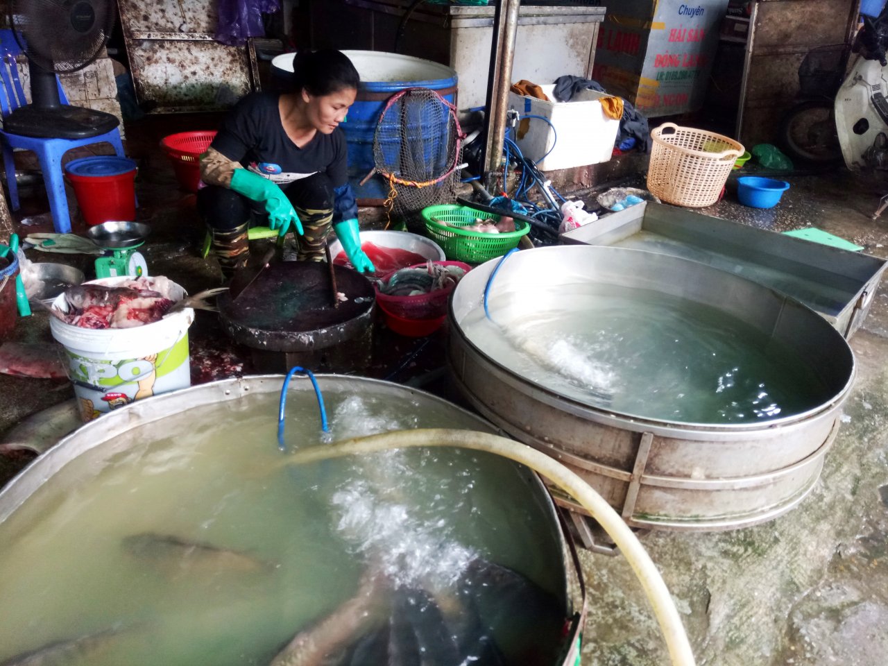 sieu-bao-do-bo-nguoi-dan-ha-noi-do-xo-di-mua-thuc-pham-du-tru