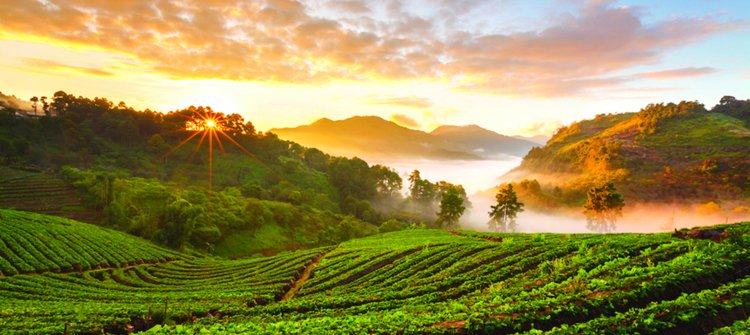 Hút du khách bằng “trung tâm cai nghiện”