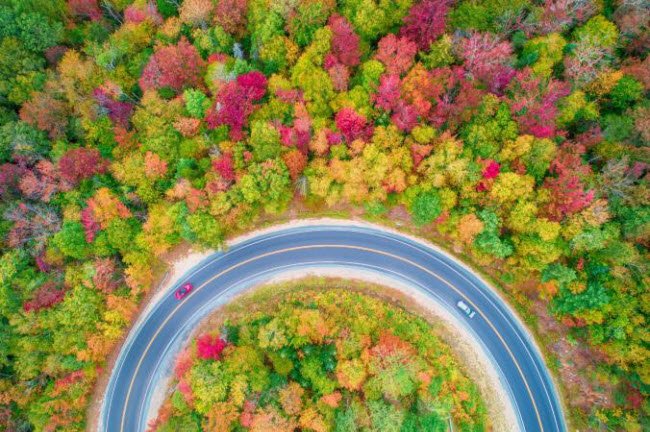 canh-nguoi-phu-nu-vot-beo-o-viet-nam-lot-top-nhung-buc-anh-dep-nhat-tren-national-geographic
