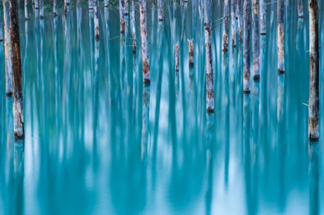 canh-nguoi-phu-nu-vot-beo-o-viet-nam-lot-top-nhung-buc-anh-dep-nhat-tren-national-geographic