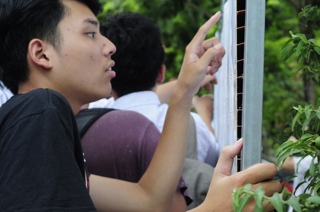 Sau lùm xùm gian lận thi cử 2018, hướng thi THPT quốc gia 2019 sẽ thế nào?