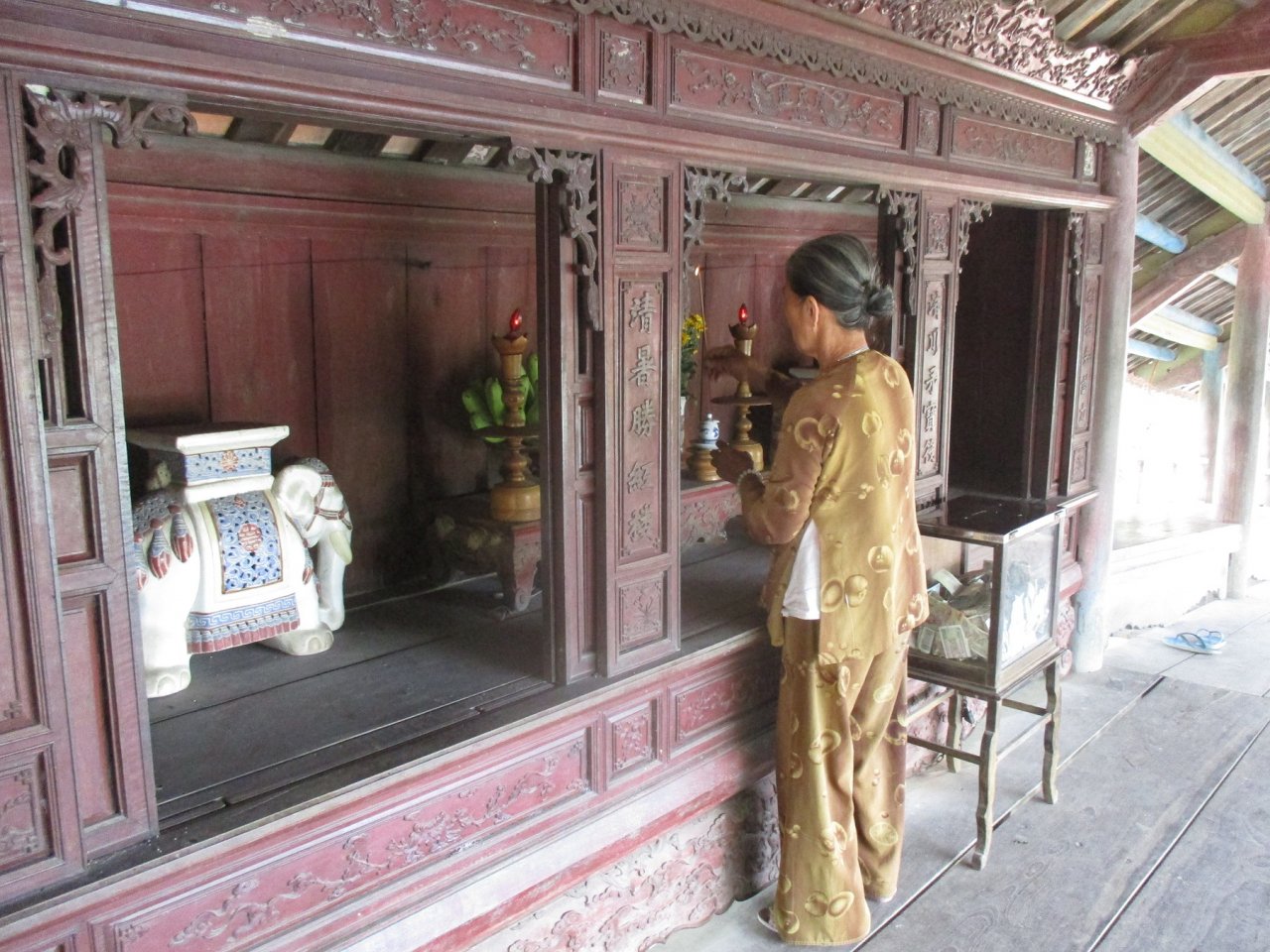 can-canh-cay-cau-ngoi-quy-hiem-cua-viet-nam-tren-dat-co-do