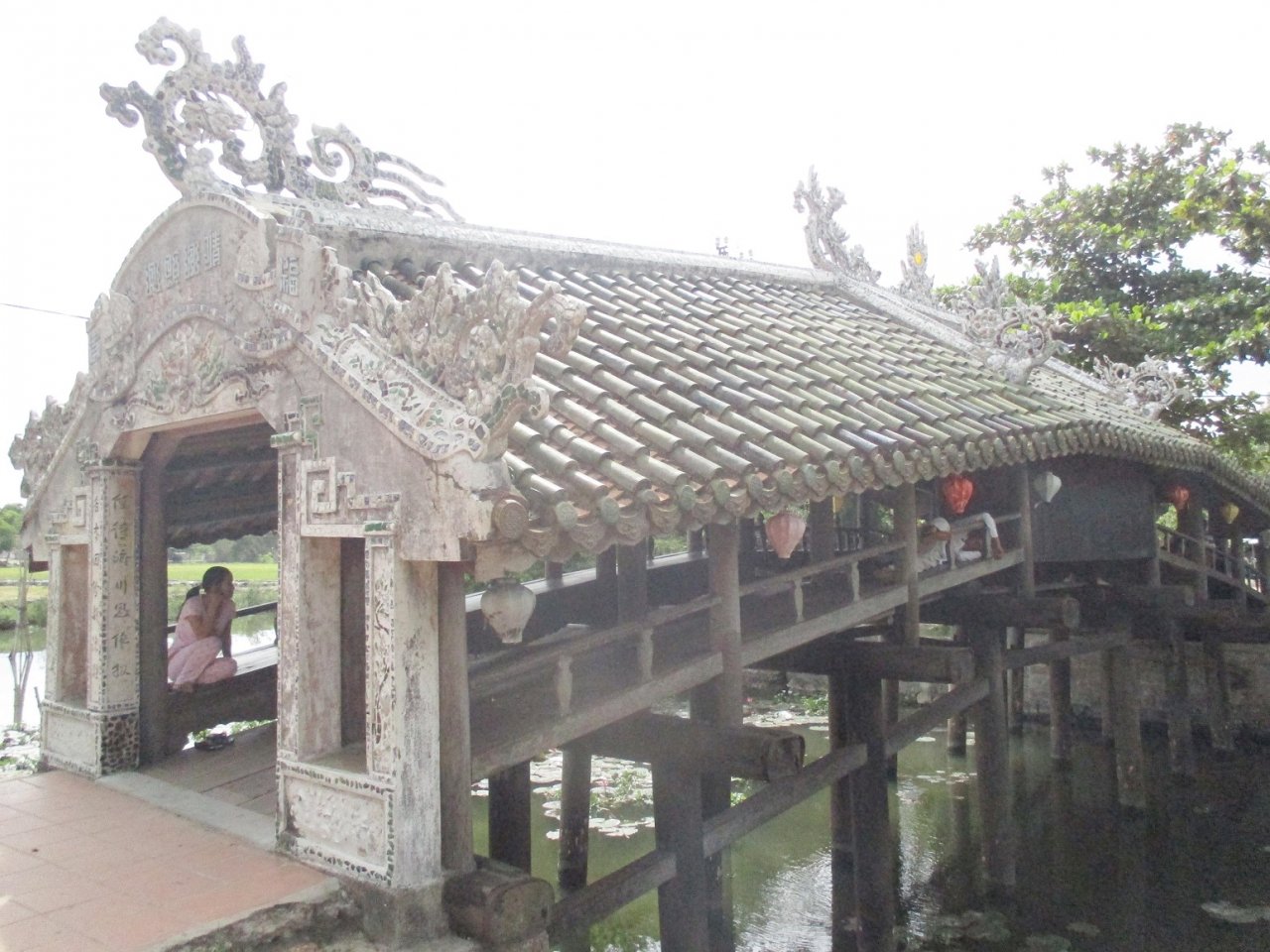 can-canh-cay-cau-ngoi-quy-hiem-cua-viet-nam-tren-dat-co-do