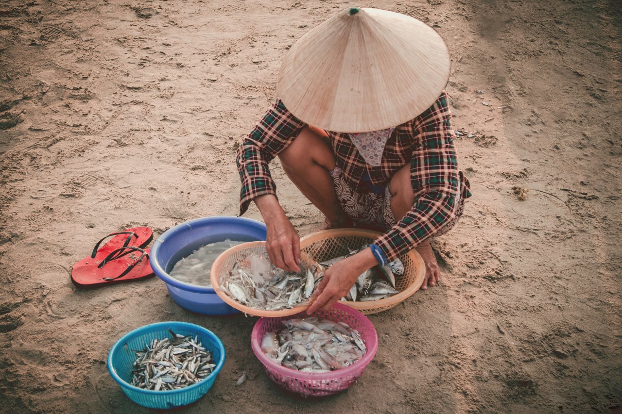 em-dem-lang-chai-giua-long-pho-luc-binh-minh