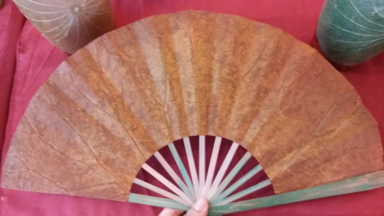 chiem-nguong-nhung-chiec-non-lam-tu-sen-mong-manh