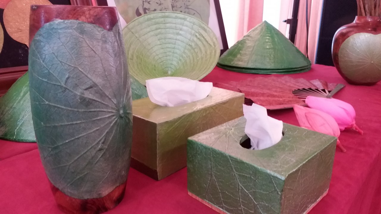 chiem-nguong-nhung-chiec-non-lam-tu-sen-mong-manh
