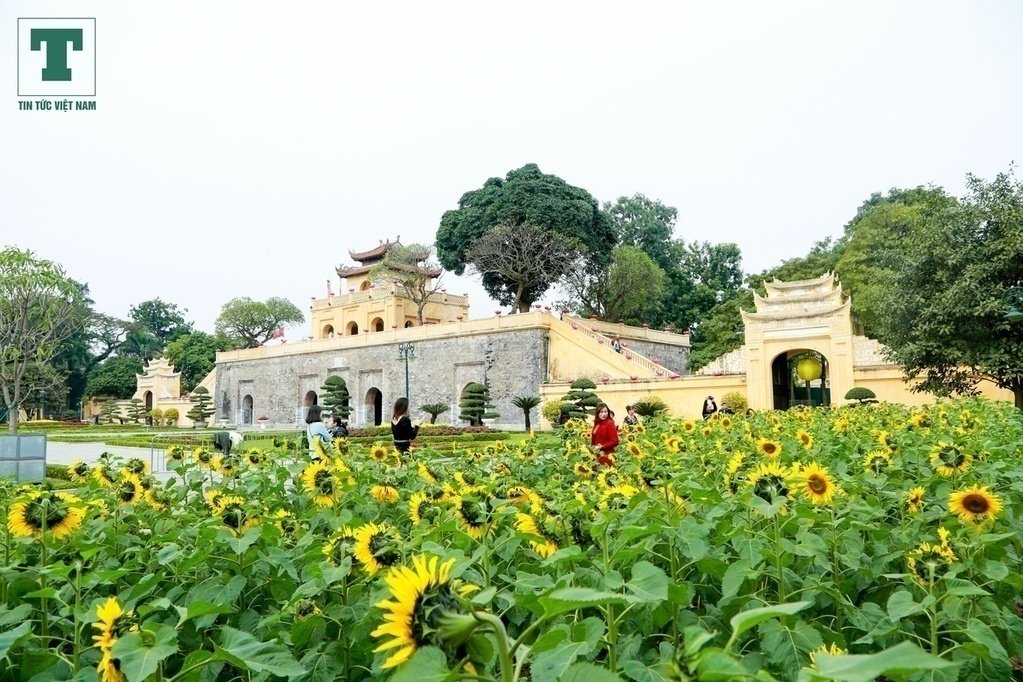 mot-so-dia-diem-vui-choi-tet-trung-thu-2018-cho-ca-gia-dinh-tai-ha-noi