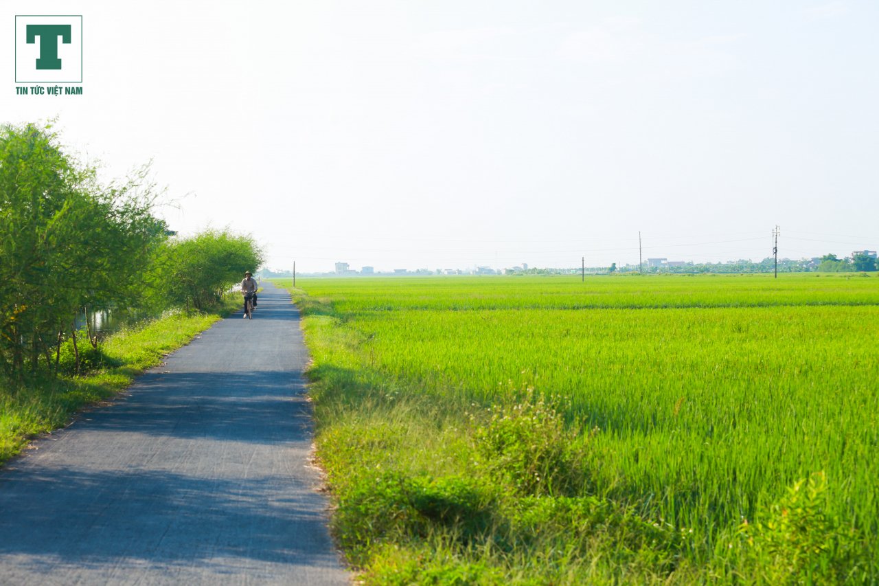 ve-dep-binh-di-cua-lang-que-co-chu-tich-tran-dai-quang