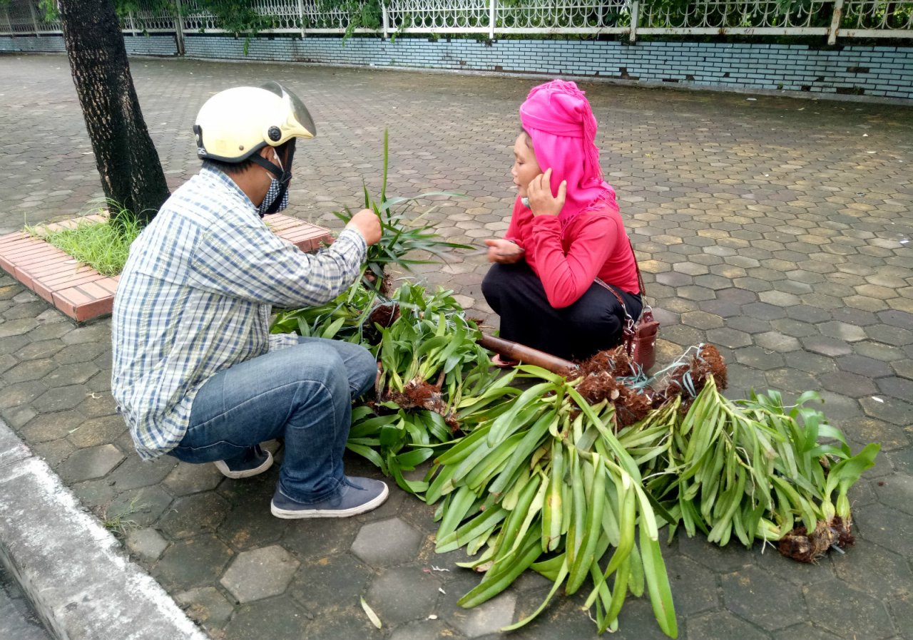 ganh-lan-rung-linh-kinh-xuong-pho-thu-hut-nhieu-khach-mua