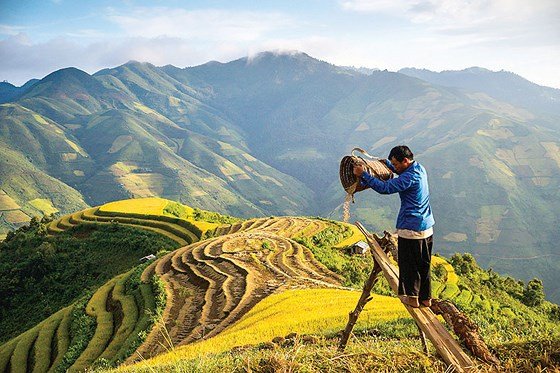 Mùa no ấm trên quê hương A Phủ