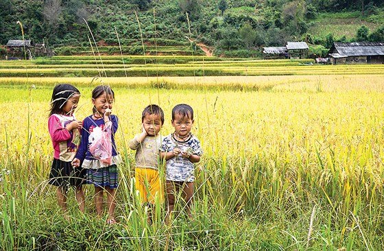 Mùa no ấm trên quê hương A Phủ