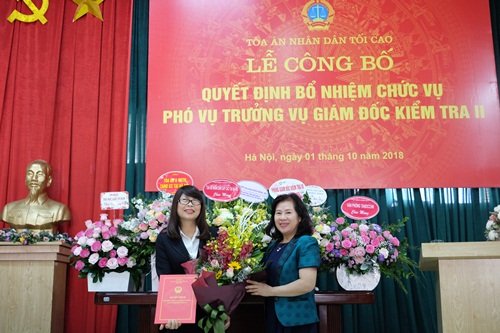 bo-nhiem-nhan-su-lanh-dao-tai-toa-an-nhan-dan-toi-cao-tap-doan-dau-khi-nghe-an-tp-hcm-ha-tinh-thai-binh
