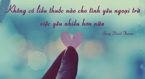 status hay về tình yêu