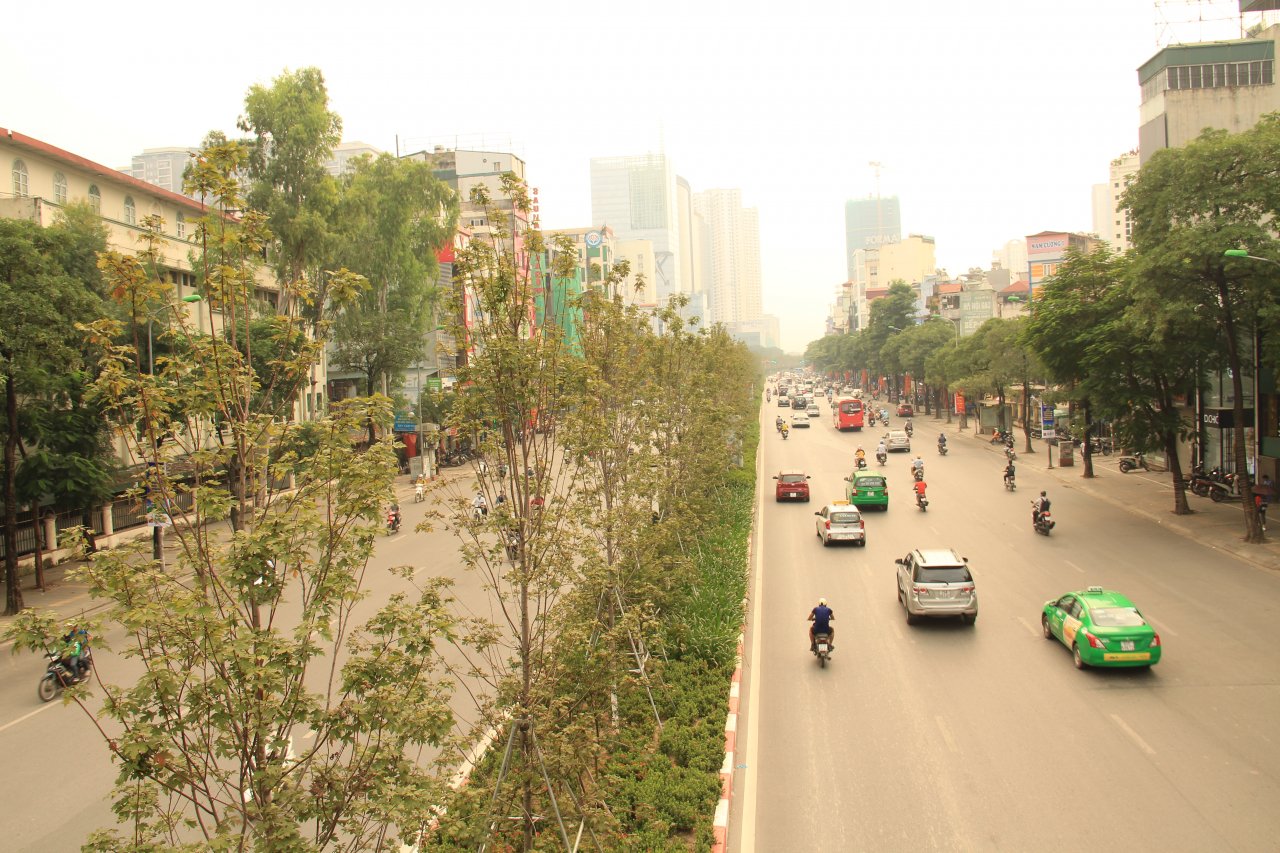 phong-la-do-ha-noi-bat-dau-chuyen-mau-giua-tiet-troi-mua-thu