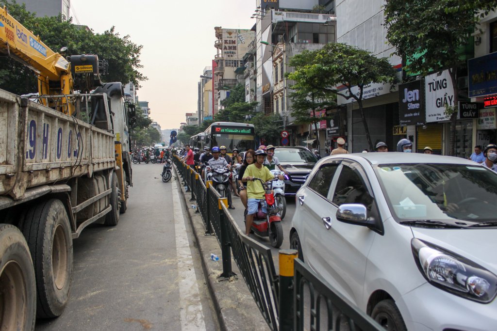ha-noi-cay-da-co-thu-bat-goc-do-sap-xuong-duong-truoc-su-bang-hoang-cua-nguoi-dan