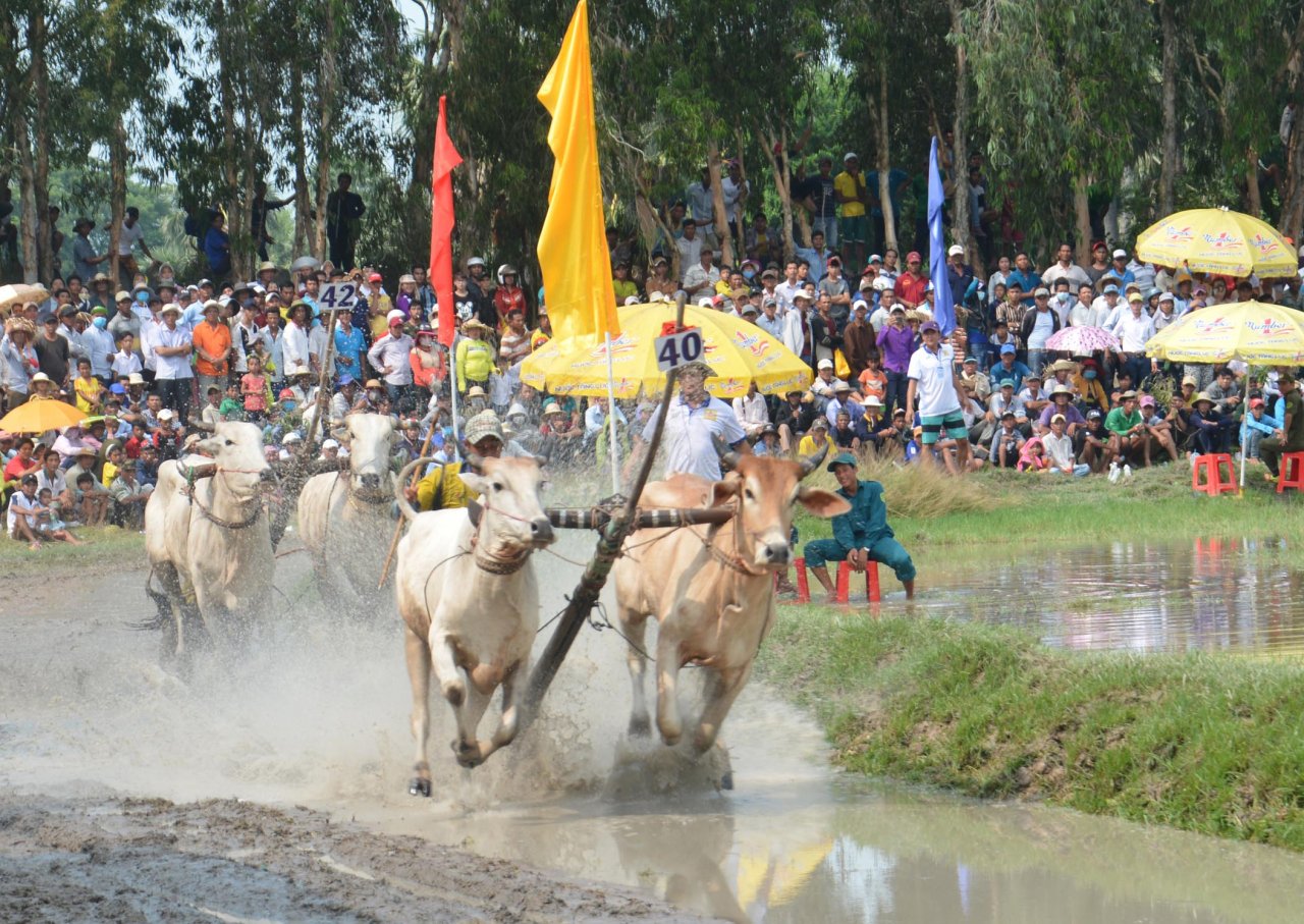 cap-bo-cua-ong-nguyen-thanh-tai-doat-hang-nhat-hoi-dua-bo-bay-nui-lan-thu-25-do-tap-doan-tan-hiep-phat-tai-tro