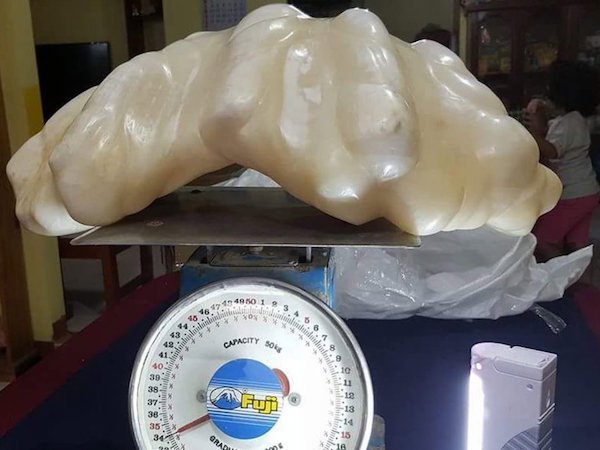anh-nhung-giac-mo-trieu-phu-xa-tan-chan-troi-ma-gan-ngay-truoc-mat