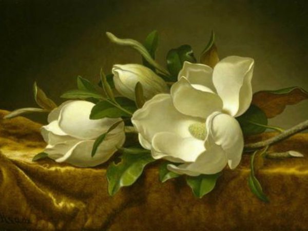 anh-nhung-giac-mo-trieu-phu-xa-tan-chan-troi-ma-gan-ngay-truoc-mat